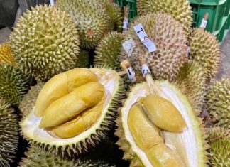 durian Thaïlande