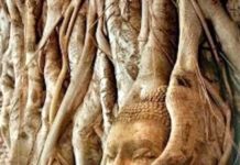 THAÏLANDE – HISTOIRE : Ayutthaya…ou ce qu’il en reste