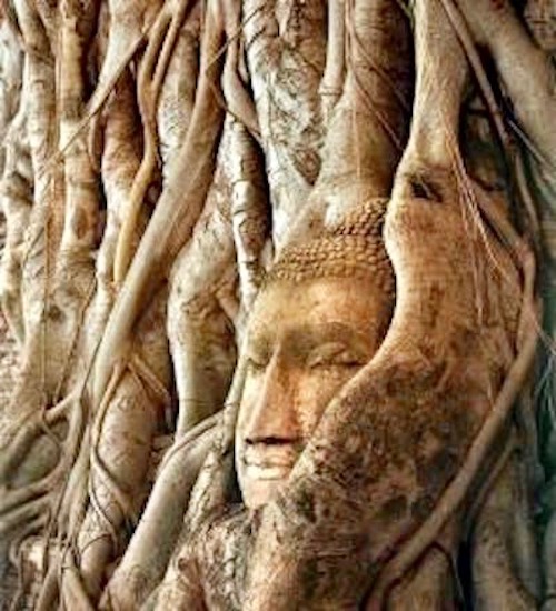 THAÏLANDE – HISTOIRE : Ayutthaya…ou ce qu’il en reste