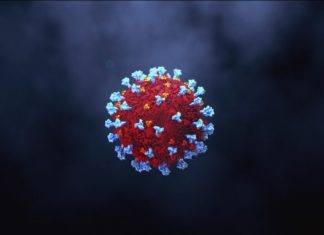 coronavirus