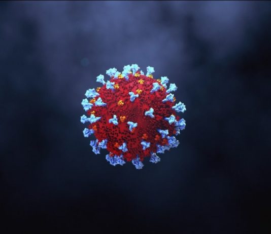 coronavirus