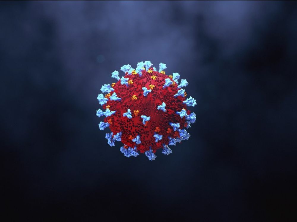 coronavirus