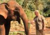Thaïlande : L’homme qui parlait à l’oreille des éléphants
