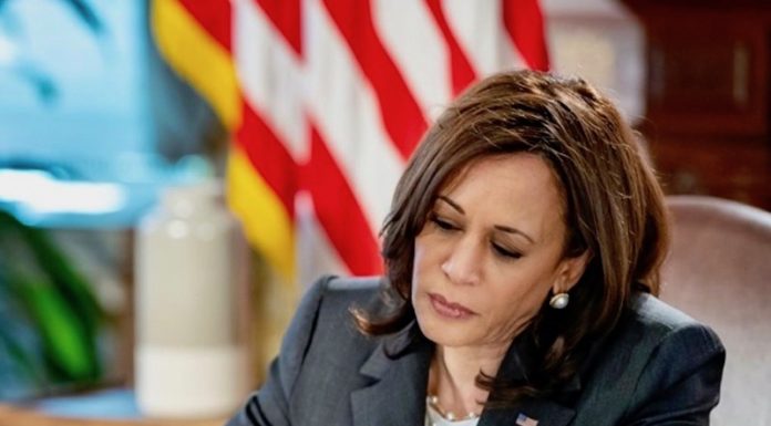 VIETNAM – ÉTATS-UNIS : Kamala Harris, une vice-présidente américaine très attendue par les vietnamiens