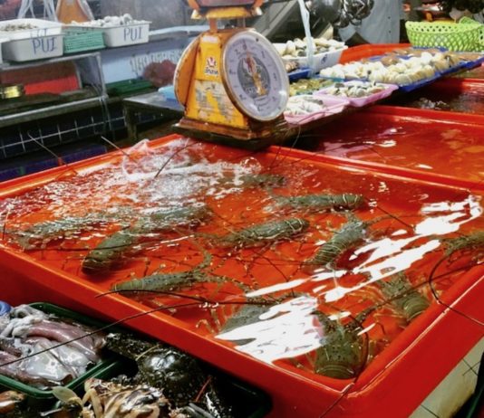 PHUKET – COVID : L’île poursuit ses tests de masse après la découverte de nouvelles contaminations