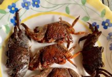 THAÏLANDE – CHRONIQUE : « Panier de crabes pour un Som Tam »