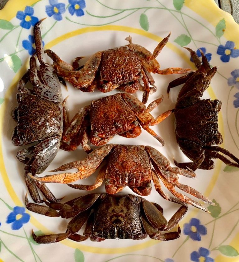 THAÏLANDE – CHRONIQUE : « Panier de crabes pour un Som Tam »