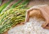 exportation riz thaïlandais