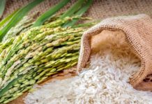 exportation riz thaïlandais