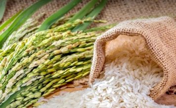 exportation riz thaïlandais