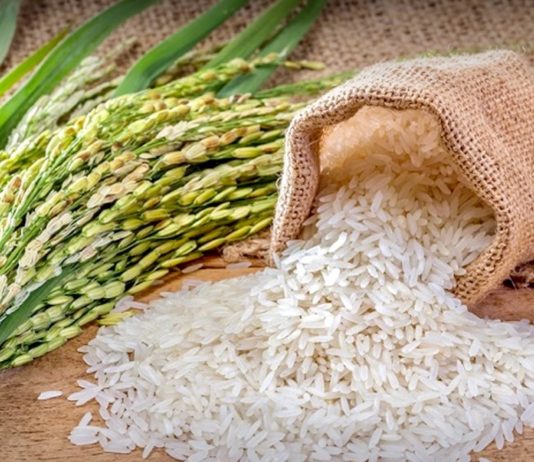 exportation riz thaïlandais