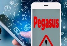 Pegasus