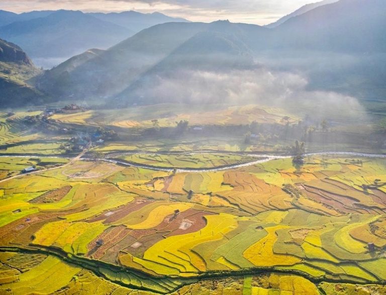 VIETNAM – ÉCONOMIE : Le Vietnam exporte 1,7 million de tonnes de riz au cours du premier trimestre