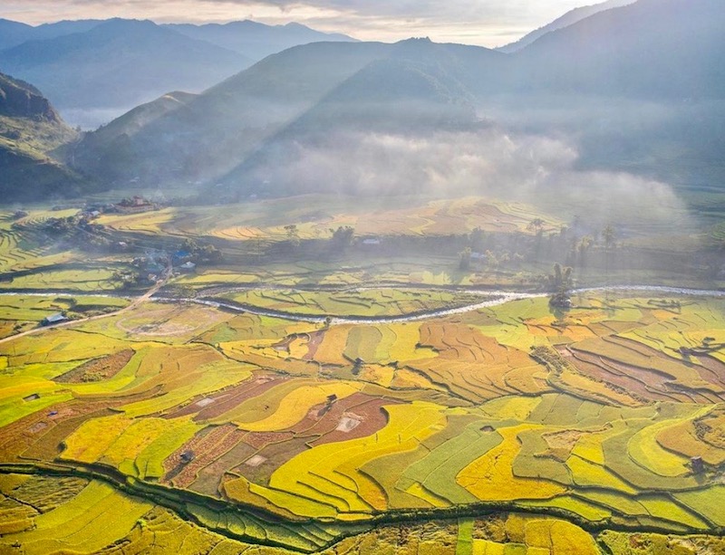 rizière Vietnam