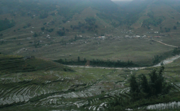 Vietnam, Sapa : les rizières dans les nuages