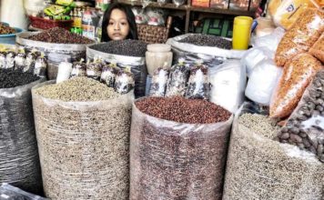 CAMBODGE – AGRICULTURE : Le poivre cambodgien voit ses exportations s’envoler