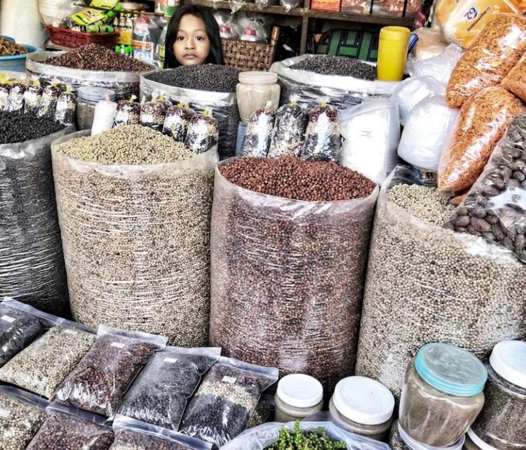CAMBODGE – AGRICULTURE : Le poivre cambodgien voit ses exportations s’envoler