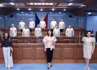 Représentant du sénat aux Philippines