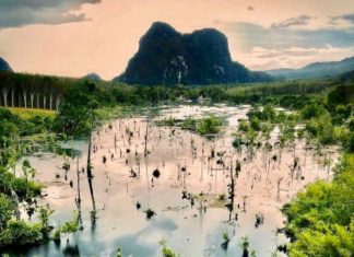 Hat Noppharat Thara-Mu Krabi