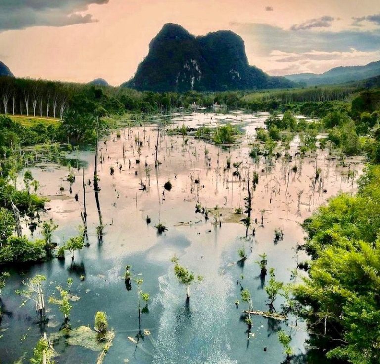 THAÏLANDE – TOURISME : Vous êtes de retour en Thaïlande ? Vous allez adorer Krabi et l’île de Koh Pi Pi
