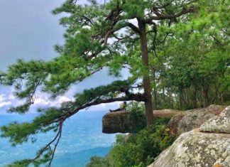 Parc national Phu Kradueng