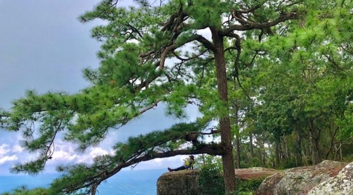 Parc national Phu Kradueng