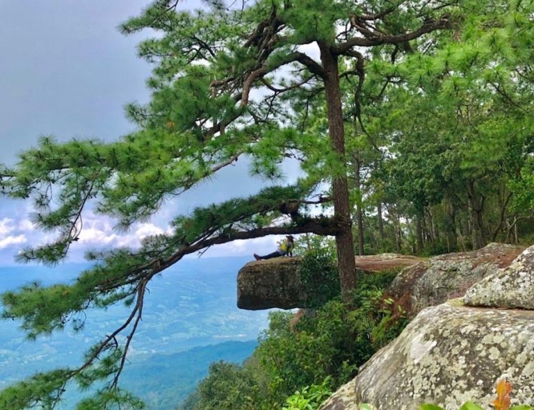 THAÏLANDE – TOURISME : Le parc national de Phu Kradueng rouvre ses portes le 1er octobre