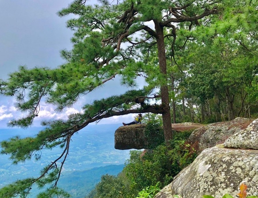 Phu Kradueng falaise