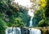 ASIE – TOURISME : Le Sri Lanka accueille les touristes vaccinés sans quarantaine Kadiyanlena site touristique