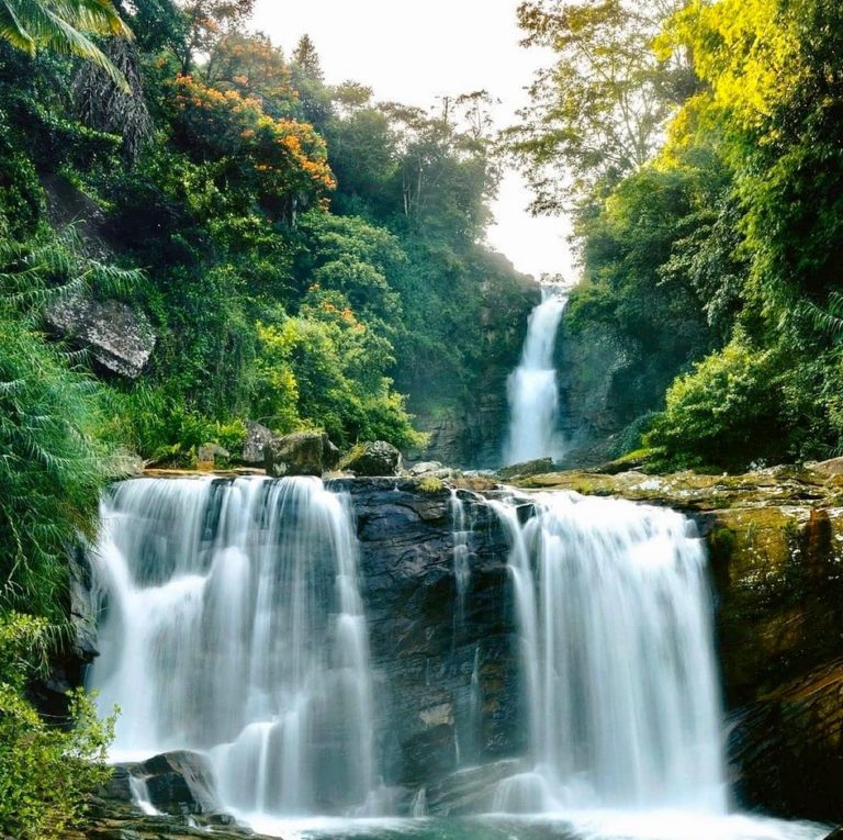 ASIE – TOURISME : Le Sri Lanka accueille les touristes vaccinés sans quarantaine