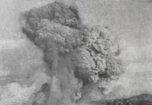 Thu Van Tran exposition