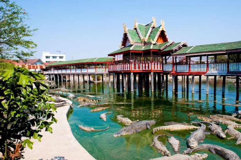 THAÏLANDE – TOURISME : Samut Prakan pleure la disparition du doyen de la ferme des crocodiles