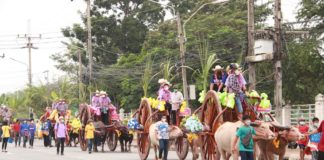 festival chonburi buffles