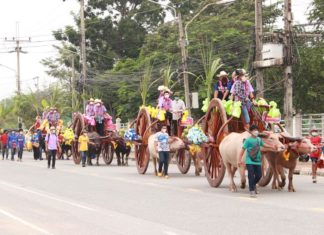 festival chonburi buffles