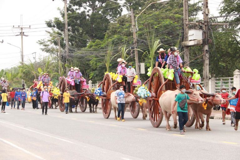 THAÏLANDE – TOURISME : Non aux buffles, oui aux festivals de la reprise touristique