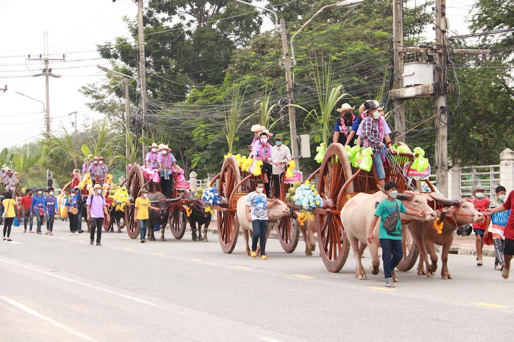 festival chonburi buffles