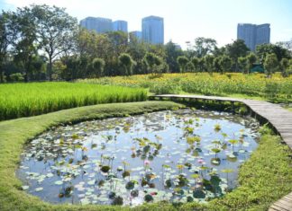 parc Bangkok