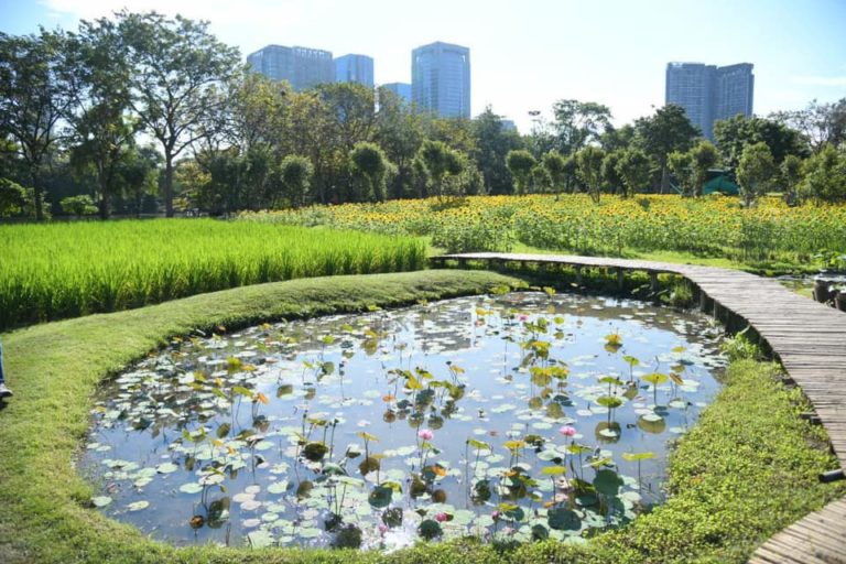 BANGKOK – SOCIÉTÉ : 9 nouveaux parcs à Bangkok d’ici la fin de 2022