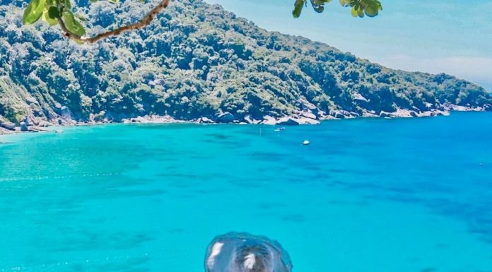 THAÏLANDE – TOURISME : La Thaïlande attend plus de 12 millions de visiteurs étrangers en 2022 Tourisme iles similan