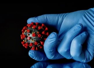 THAÏLANDE – SANTÉ : Un spray nasal anti Covid thailandais sur le point d’être commercialisé ASEM Covid