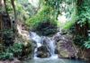 THAÏLANDE – TOURISME : Entrée gratuite dans les parcs nationaux pendant le grand congé de la fin juillet parc national de Khao Laem