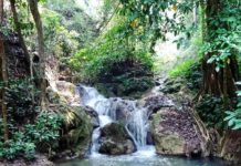 THAÏLANDE – TOURISME : Entrée gratuite dans les parcs nationaux pendant le grand congé de la fin juillet parc national de Khao Laem