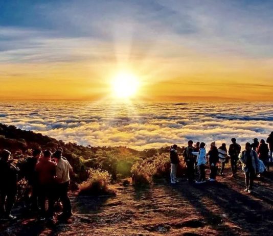 Chiang Mai - Doi Inthanon