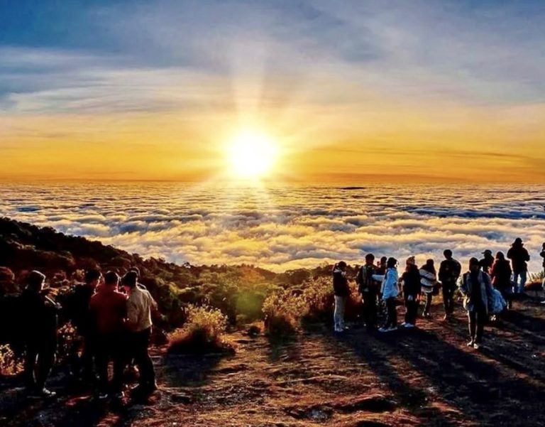 CHIANG MAI – TOURISME : Le Doi Inthanon bientôt de nouveau accessible