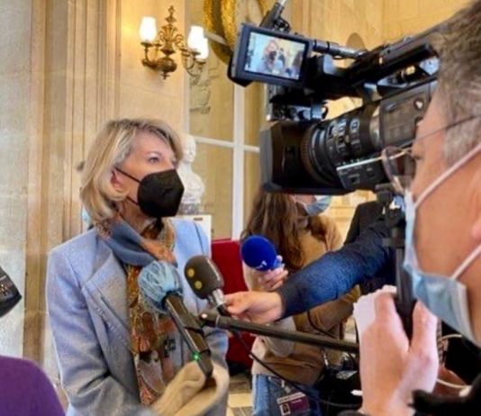 Anne Genetet assemblée nationale