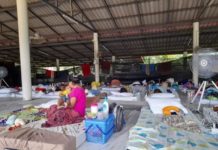 Birmans en quarantaine Koh Phangan