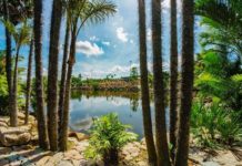 Nong Nooch Tropical garden