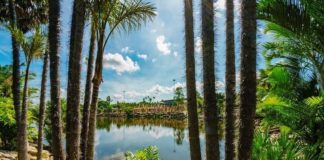 Nong Nooch Tropical garden