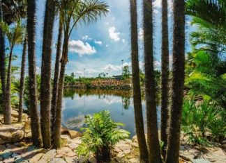 Nong Nooch Tropical garden