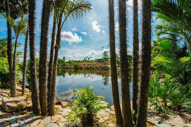 Nong Nooch Tropical garden